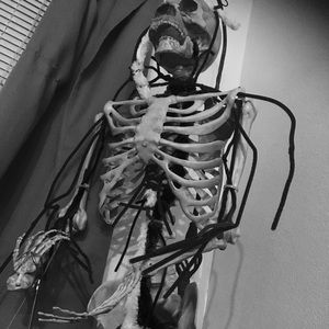 Meet your Posher, Billy